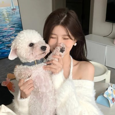 北非特警海报
